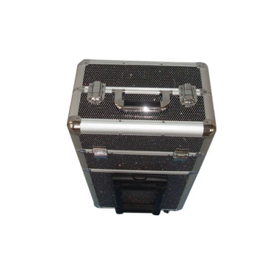 large2 D9009 from the top